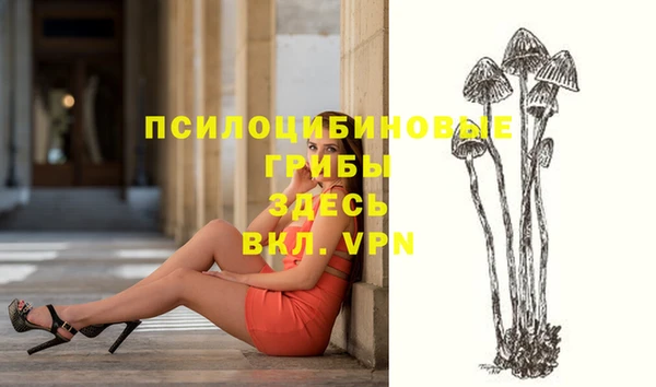 стафф Няндома