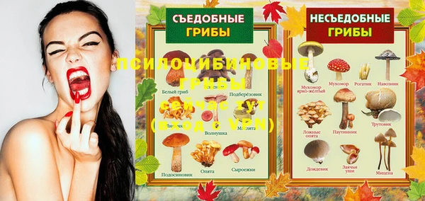 прущие крисы Нязепетровск