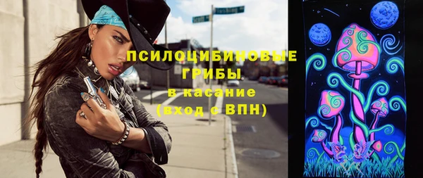 стафф Няндома
