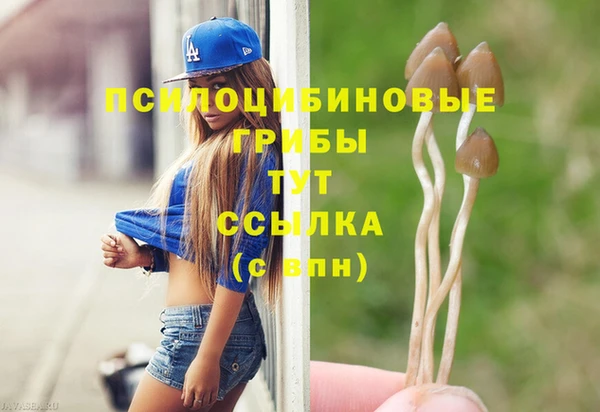 прущие крисы Нязепетровск