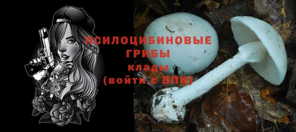 прущие крисы Нязепетровск